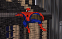 spider_033.png